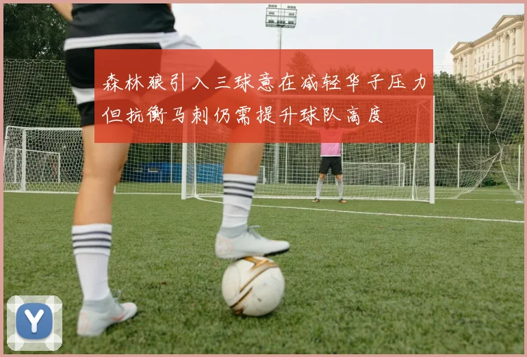 森林狼引入三球意在减轻华子压力但抗衡马刺仍需提升球队高度